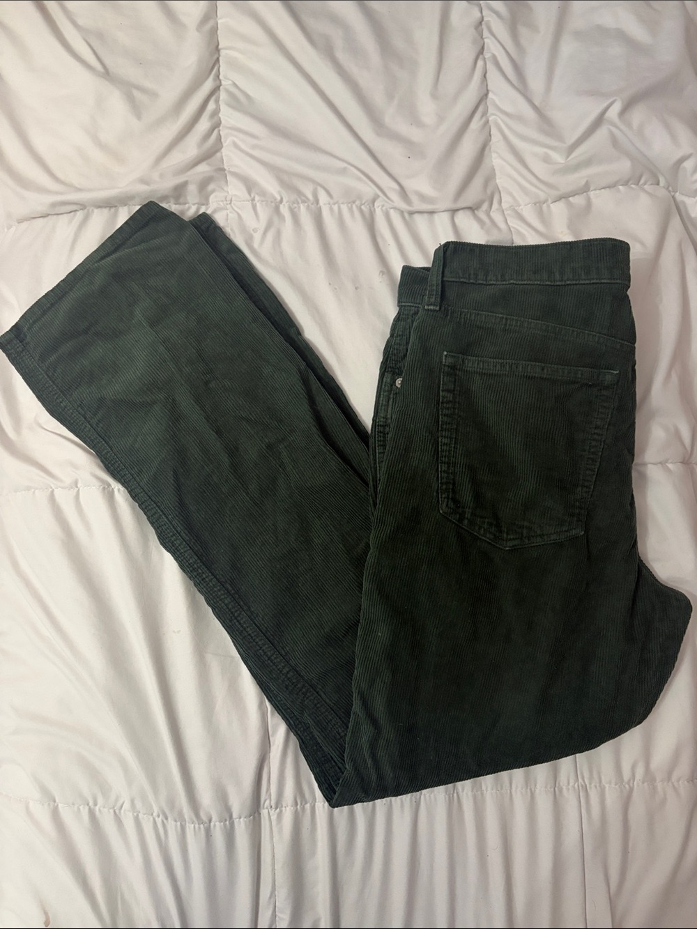 Aritzia Sunday Best Corduroy Jeans in Forest Green